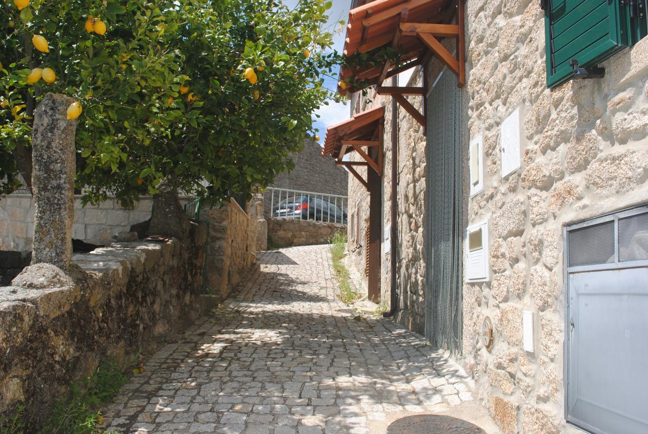モンサント Moradia Familia Escotoヴィラ エクステリア 写真
